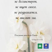 Вести из Крыма | МОО «Союз православных женщин»
