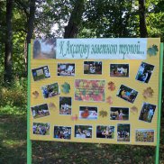 Праздник в Аксаково | МОО «Союз православных женщин»