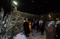 В Рождественскую ночь прихожан у вертепа встречали библейские животные (Ульяновская область)